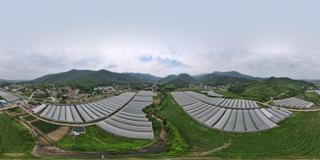 乡村 农业产业园 (6)